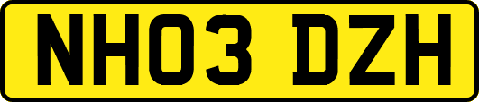 NH03DZH