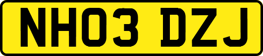 NH03DZJ