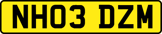 NH03DZM