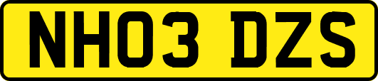 NH03DZS