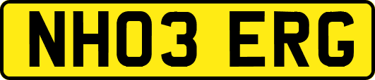NH03ERG