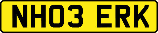 NH03ERK