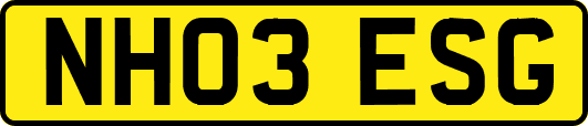 NH03ESG