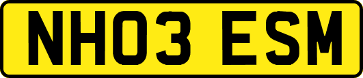 NH03ESM