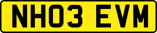 NH03EVM