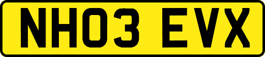 NH03EVX