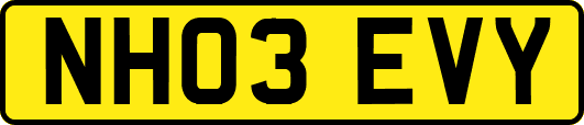 NH03EVY