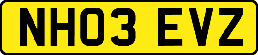 NH03EVZ