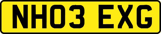 NH03EXG