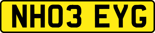 NH03EYG