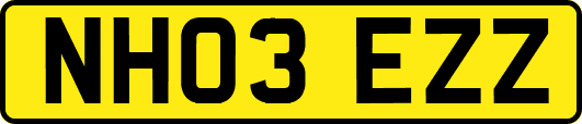 NH03EZZ