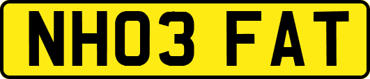 NH03FAT