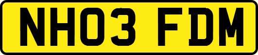 NH03FDM