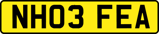 NH03FEA
