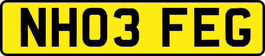 NH03FEG