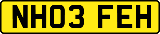 NH03FEH