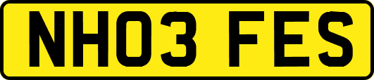 NH03FES