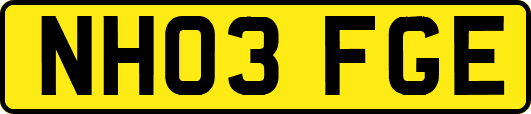 NH03FGE