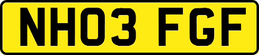 NH03FGF