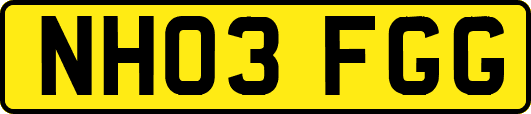 NH03FGG