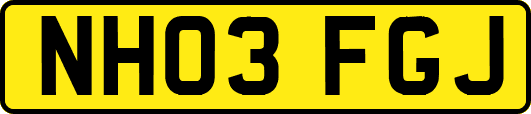 NH03FGJ