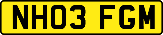 NH03FGM