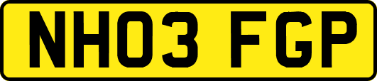 NH03FGP