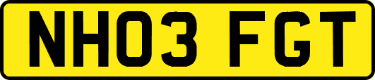 NH03FGT