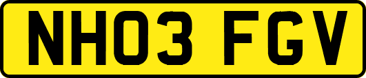 NH03FGV