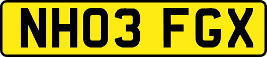 NH03FGX