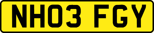NH03FGY