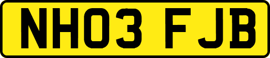 NH03FJB