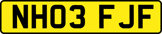 NH03FJF