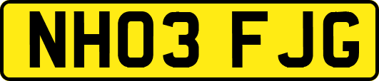 NH03FJG