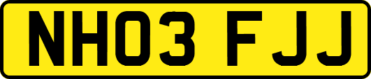 NH03FJJ
