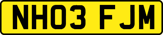 NH03FJM