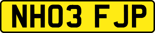 NH03FJP