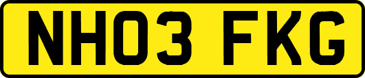 NH03FKG