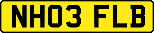 NH03FLB
