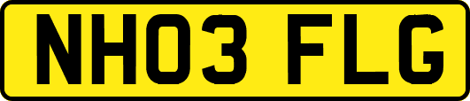 NH03FLG