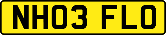 NH03FLO