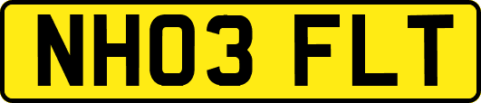 NH03FLT