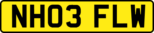 NH03FLW