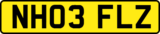 NH03FLZ