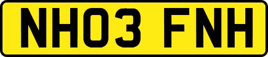 NH03FNH