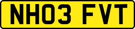 NH03FVT