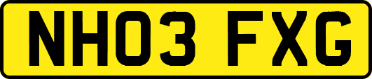 NH03FXG