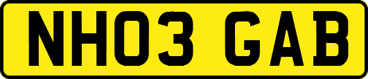 NH03GAB
