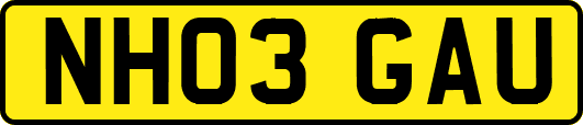 NH03GAU