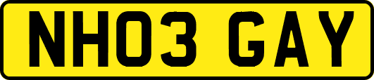 NH03GAY